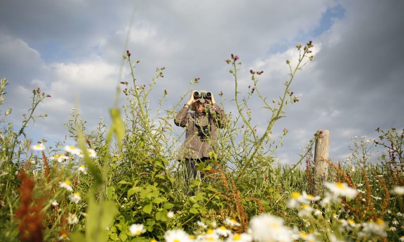 Mevrouw aan het vogels kijken in een grasland gebied.