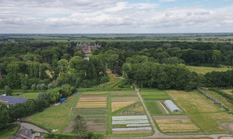 moestuin de haar