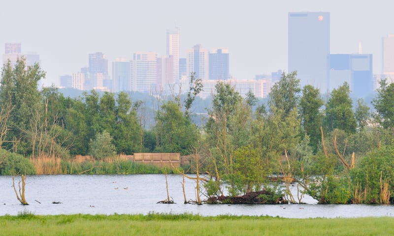 Ackerdijkse Plassen en Broekpolder