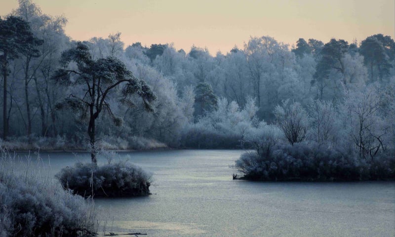 Goorven in Oisterwijkse Bossen en Vennen