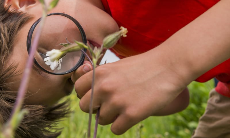 Kinderfeestje Ackerdijkse Plassen