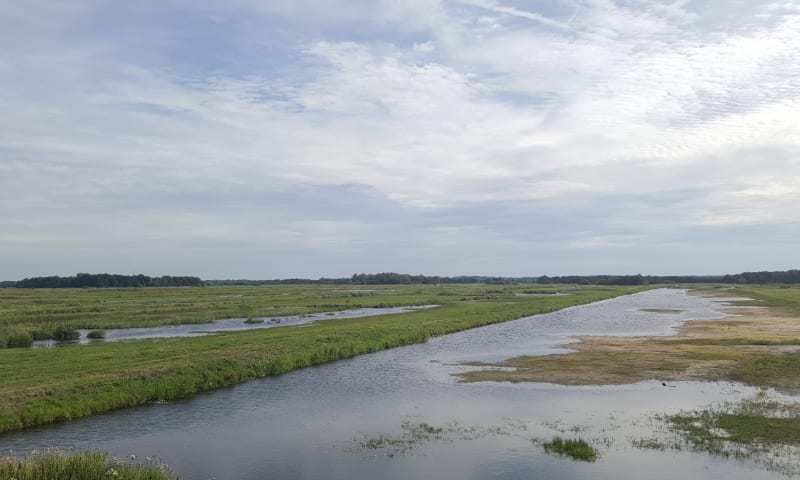 Oostelijke binnenpolder Tienhoven