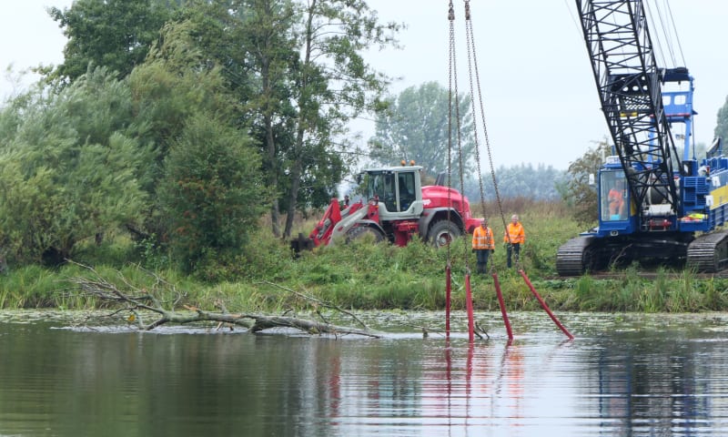 Rivierhout in de Empelse Waard