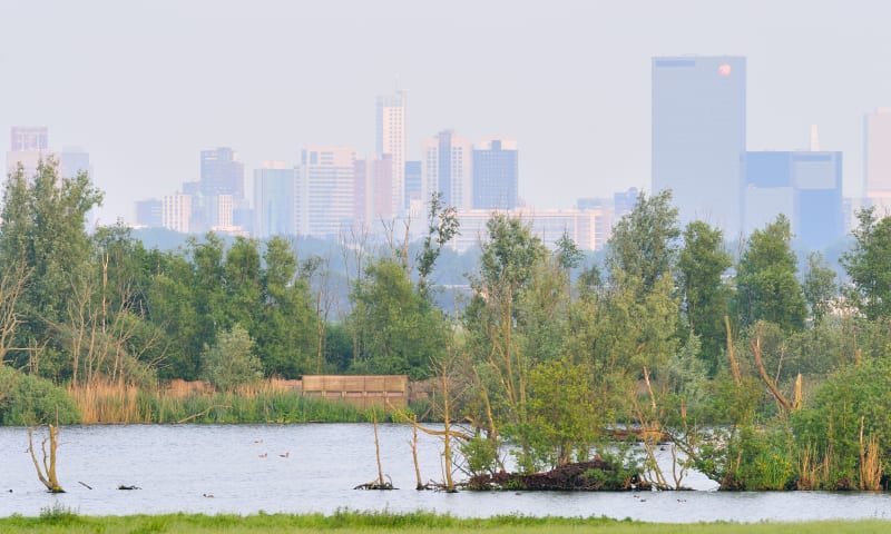 De Ackerdijkse Plassen met de skyline van Rotterdam op de achtergrond