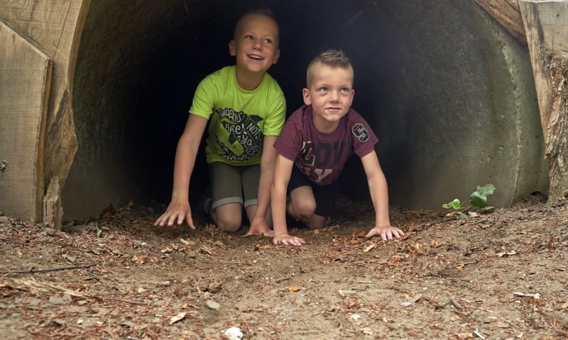 Bos speeltuin Speelnatuur Bergherbos