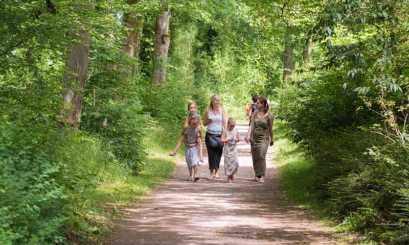 Wandelen Arboretum Poort Bulten