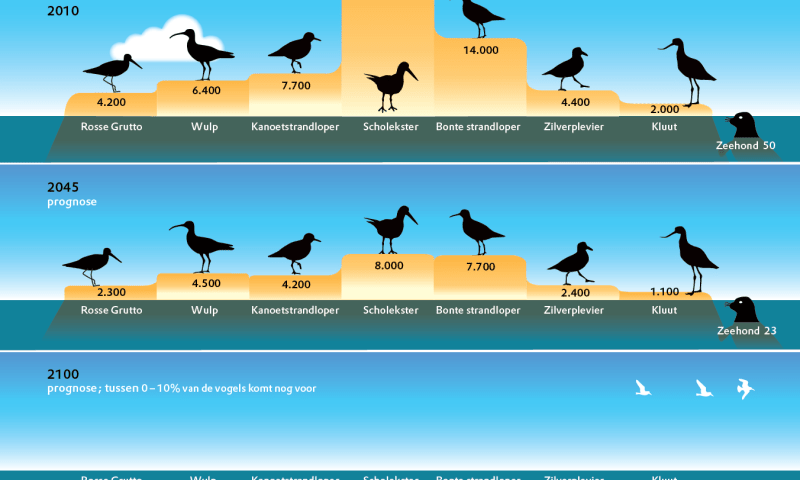 vogels