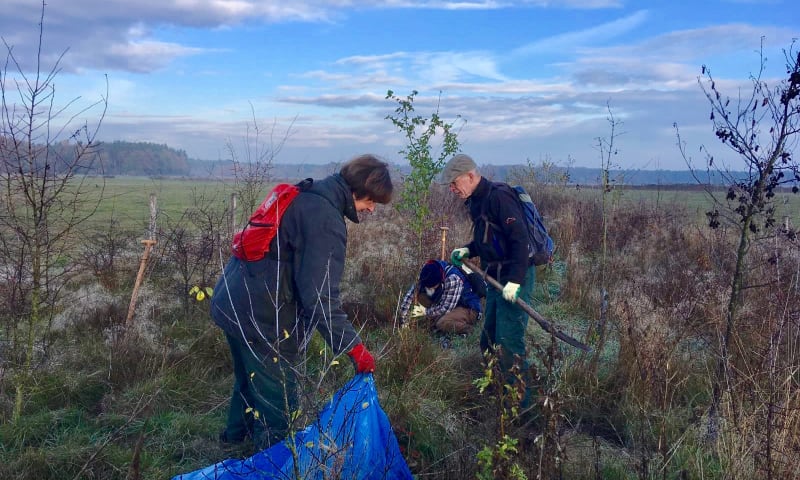 aanplant appelboompjes