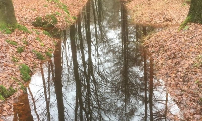 Water vasthouden op Landgoed Eerde