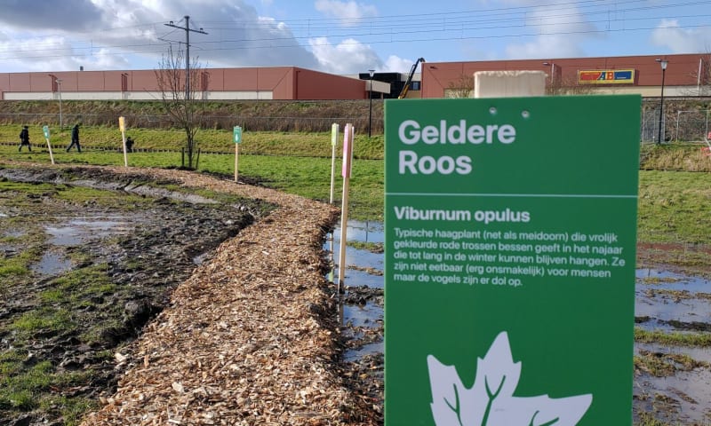 Voedselbos Schiebroekse Polder