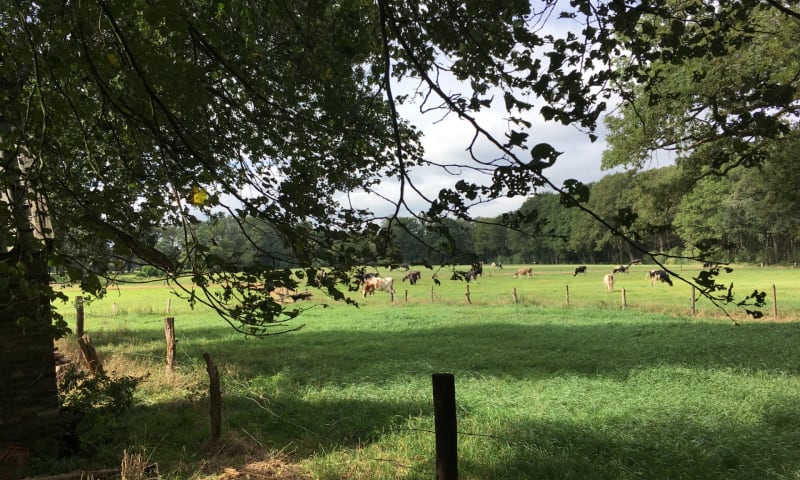 Vakantiewoning Hoeve de Bocksen uitzicht