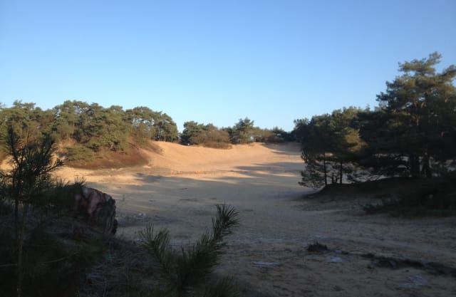Wandelroute Zwarte Berg Vlak Bij Drunen Natuurmonumenten