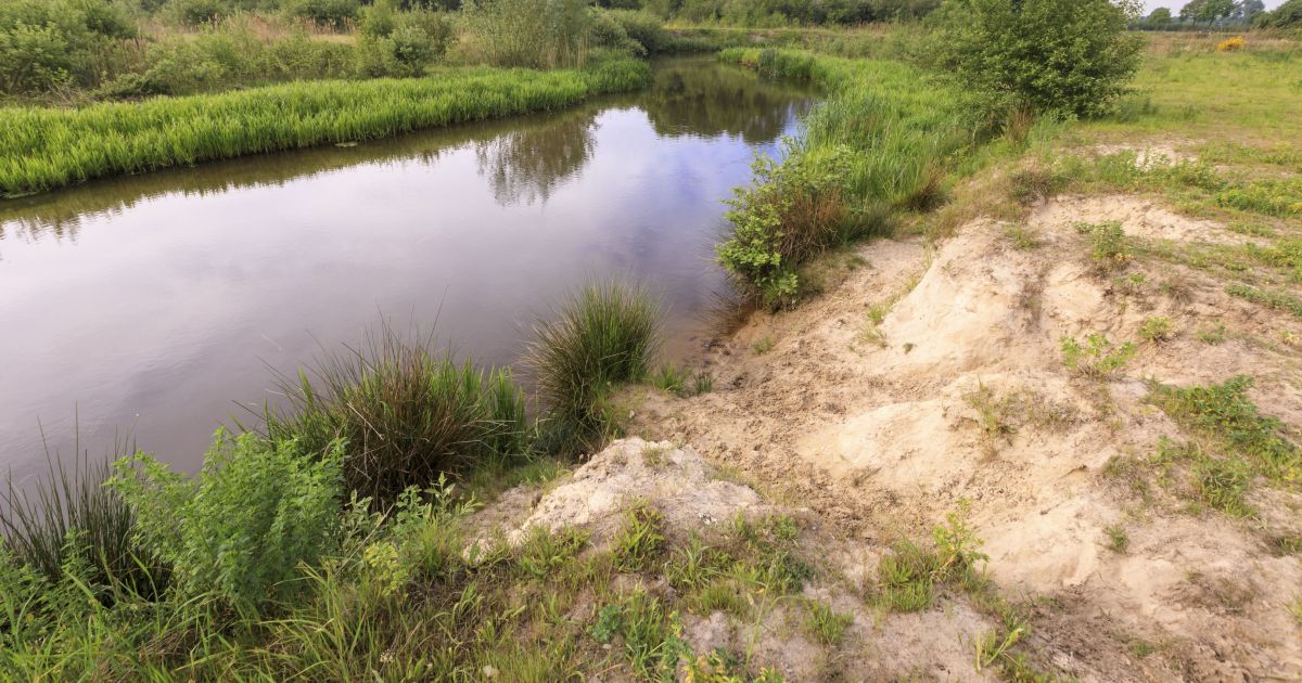 Water en bodem sturend voor gezonde natuur Natuurmonumenten