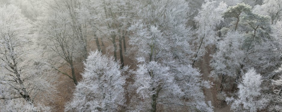 Kaapse bossen - winter uitzicht vanaf de Kaap