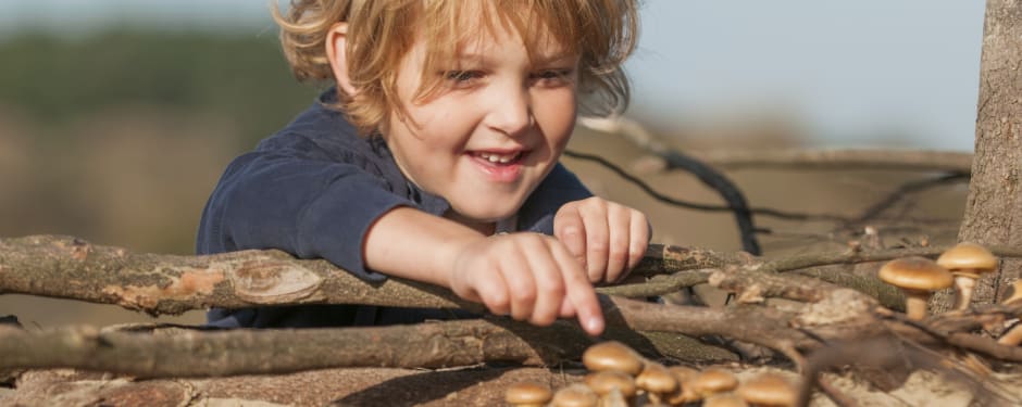 paddenstoelenroutes met kinderen