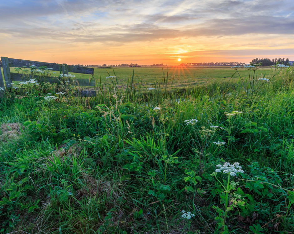 Polder Noord-Kethel bij Rotterdam