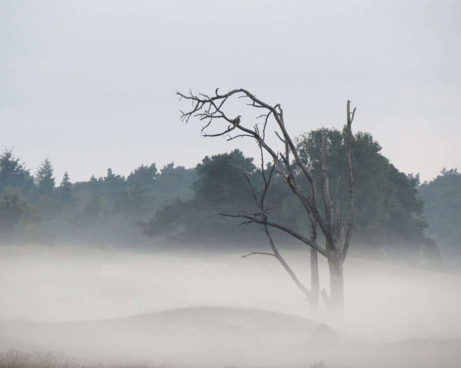 'Rokend' stuifzand tijdens een storm