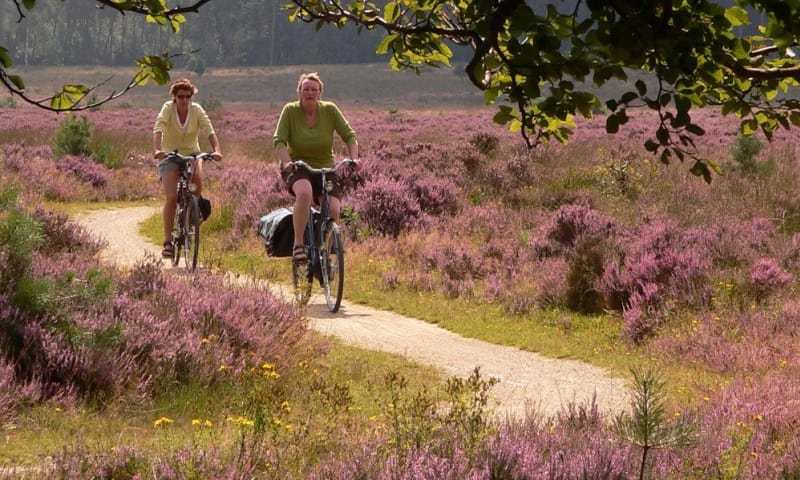 Fietsroute Oisterwijkse Bossen en Kampina