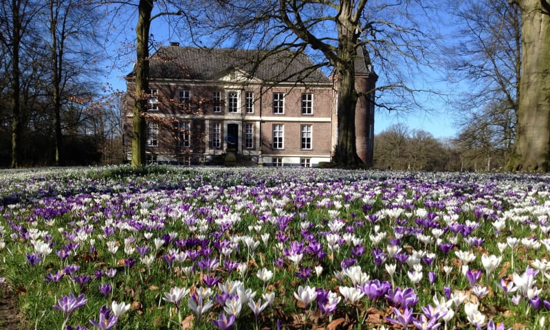 Bloementapijt op Hackfort