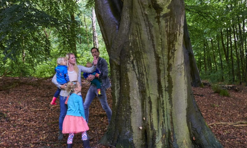 Historische wandelroute Bergherbos