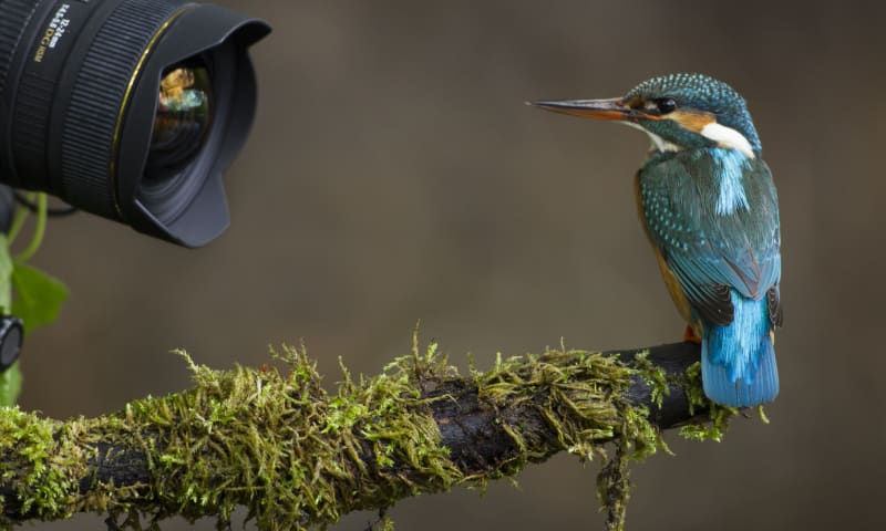 Varen en fotograferen in vogelparadijs de Pot