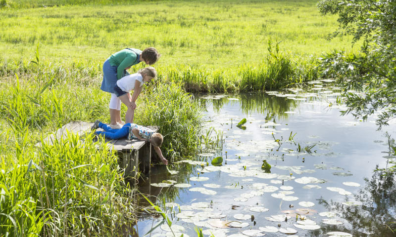 Boomplantdag 2018 natuurmonumenten