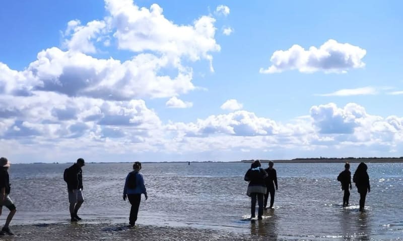 Wadlas - Wadlopen bij Schiermonnikoog