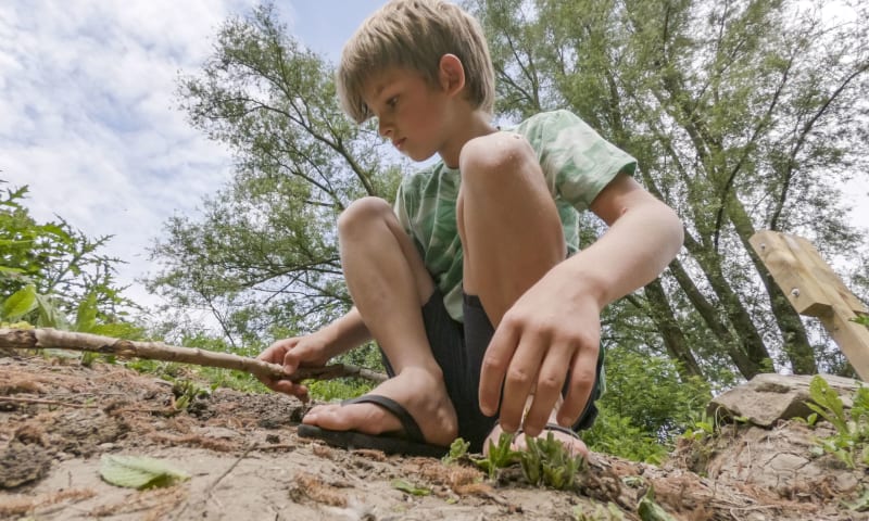 Speelnatuur van OERRR