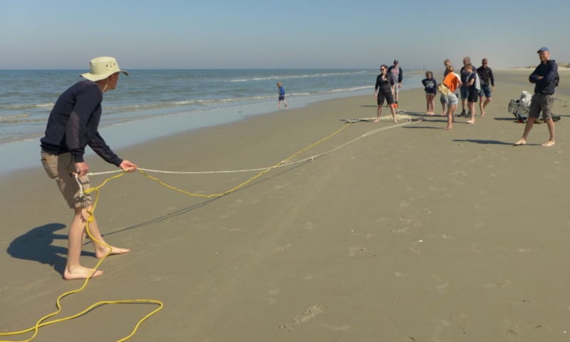 Kornet-vissen op het strand