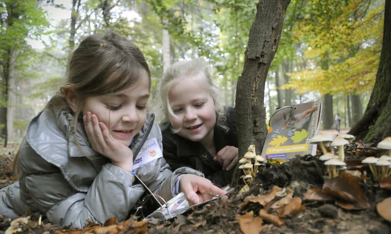 Paddenstoelen en kinderen - OERRR