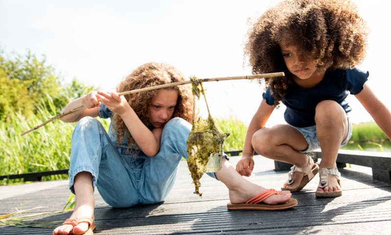 kinderen spelen in de lente