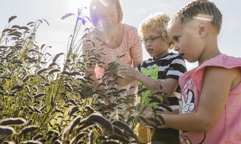 excursie met kinderen Marker Wadden