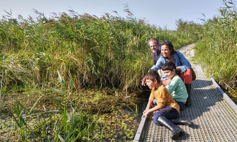 Vlonderpad bij de Wieden