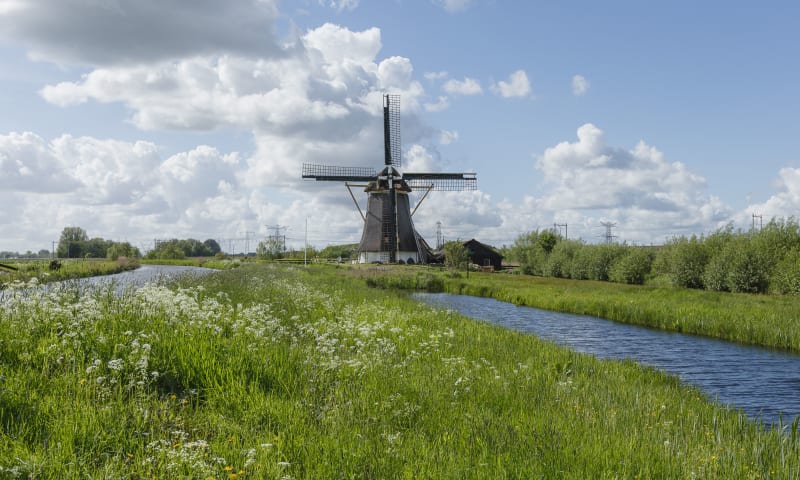 Molen De Onrust - Naardermeer