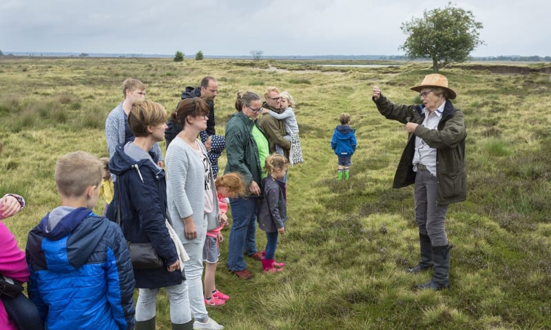 Wandelen, fietsen of met de huifkar het Dwingelderveld ontdekken