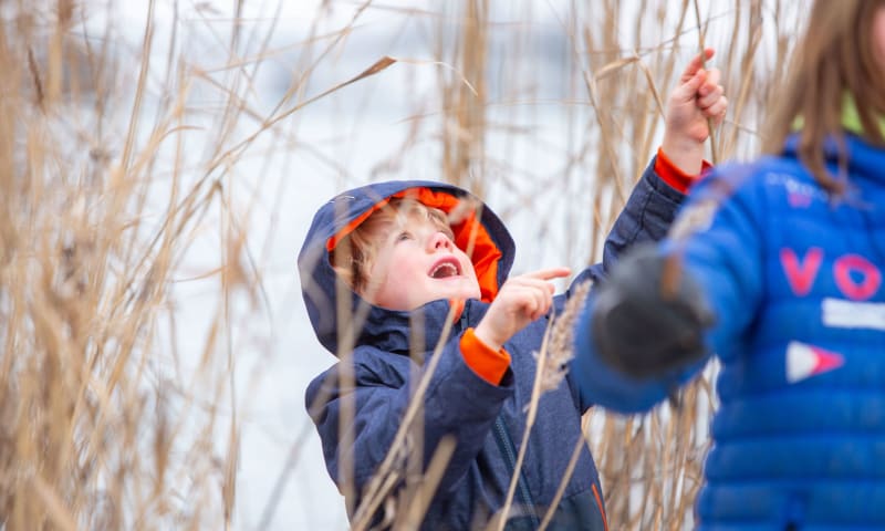 Kinderactiviteiten in de kerstvakantie