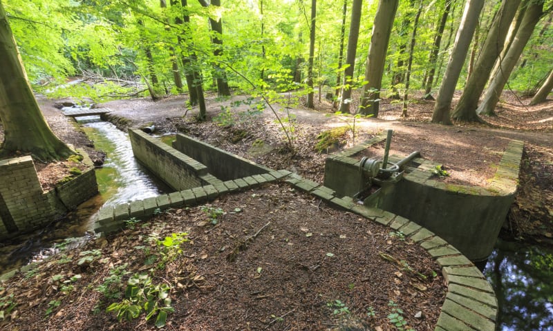 Waterloopbos, Flevoland