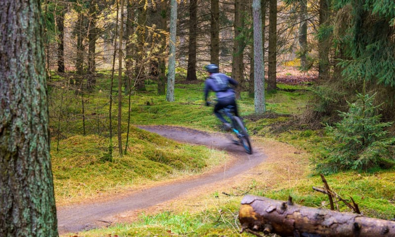 Mountainbiken in de bossen van Montferland