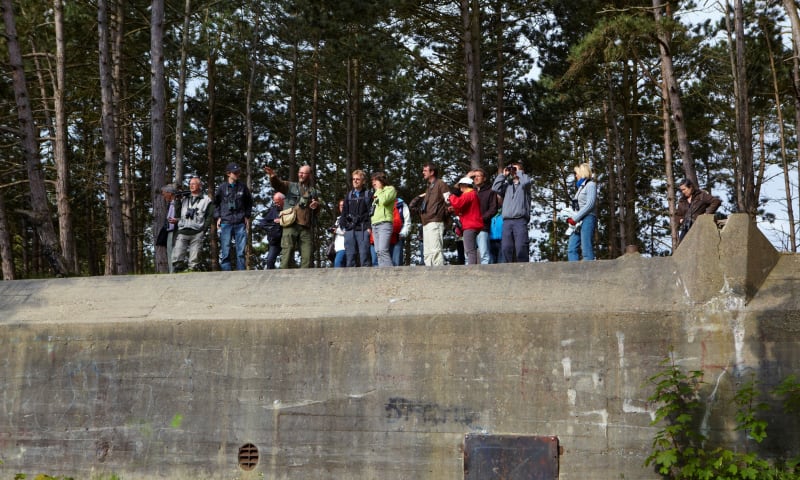 Vleugelbunker