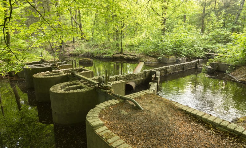 Waterloopbos Romijnstuw 