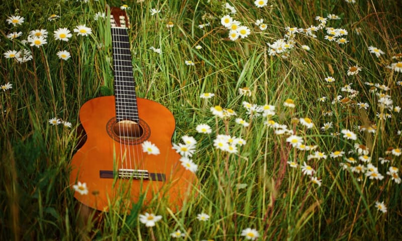 Zwoele Zomeravond in arboretum Poort Bulten de Lutte