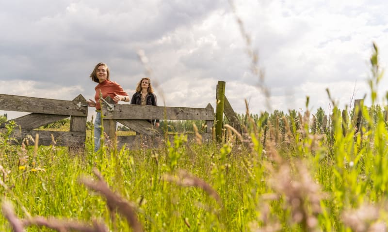 Wandelen