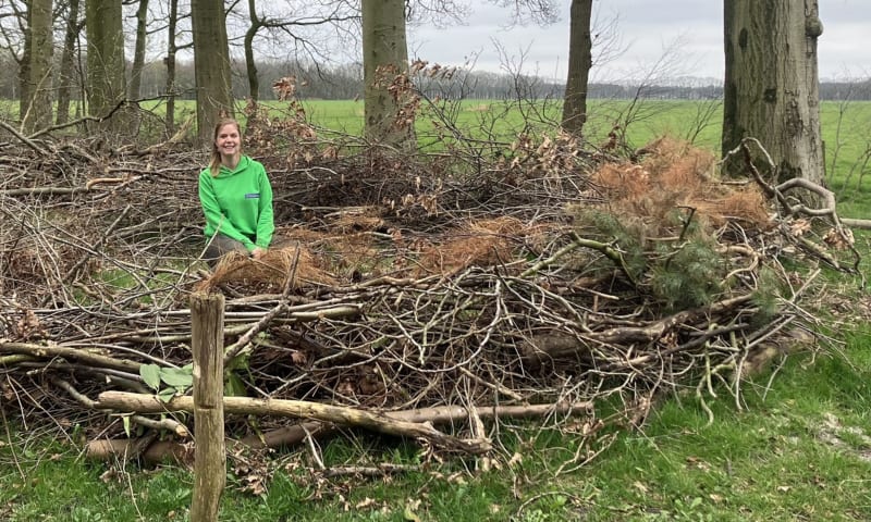 Boswachter Miranda Fieret in een nest voor mensen.