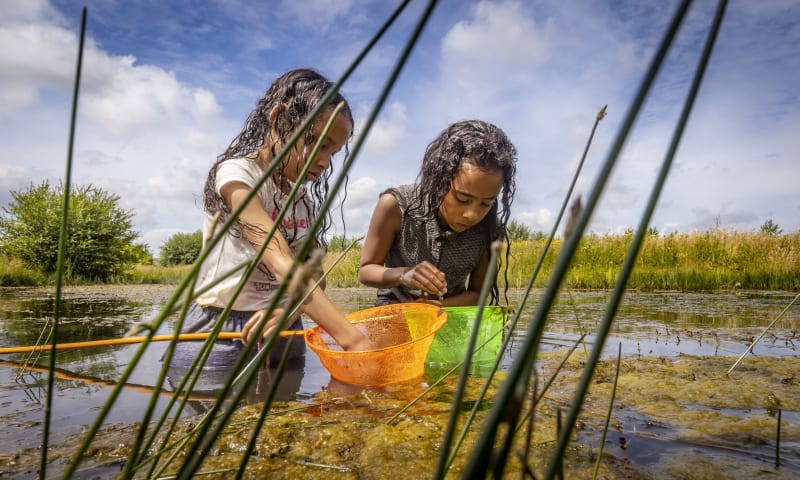 Speelplekken bij het water