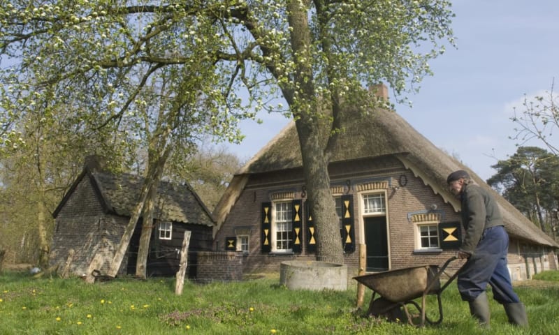 Wandelroute Eerder Achterbroek, vlakbij Ommen