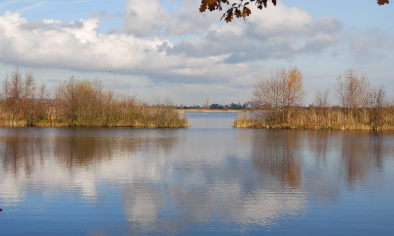 Ankeveense plassen herfst