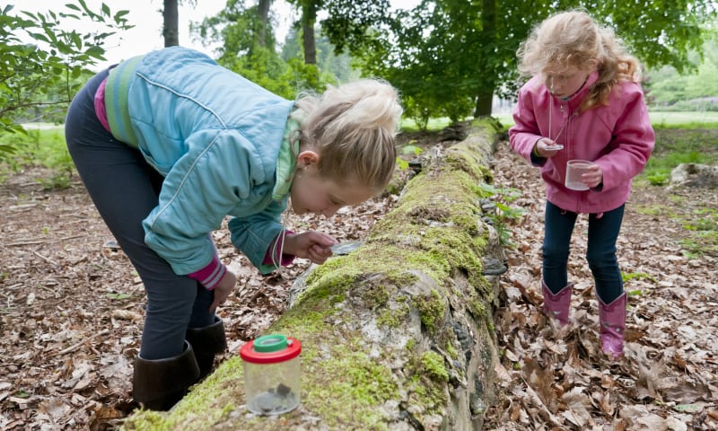 OERRR Op zoek naar diersporen met de boswachter