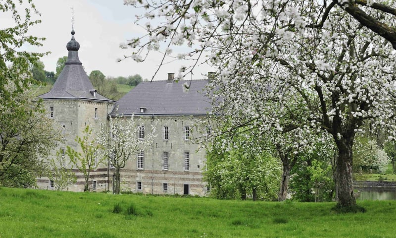 Bloesem op landgoed Genhoes