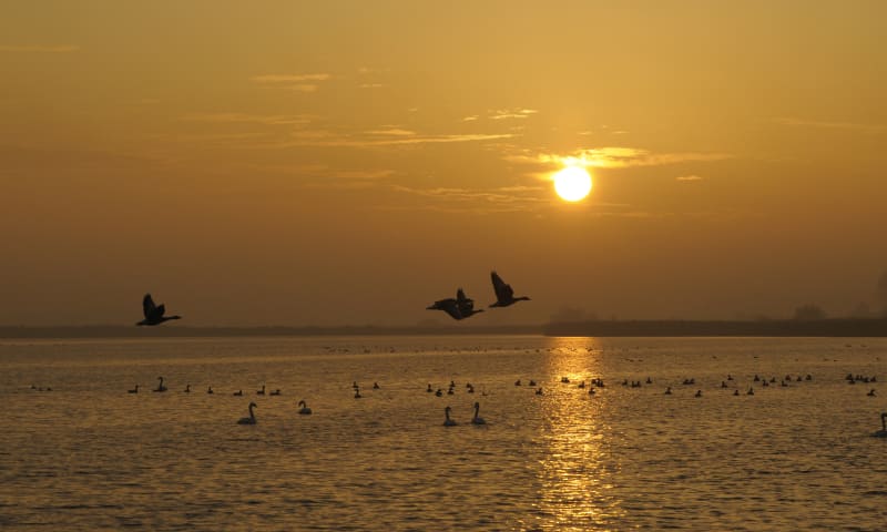 Vaar met zonsondergang mee naar Vogeleiland