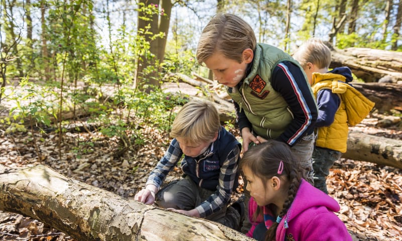 natuurbeleven VZ